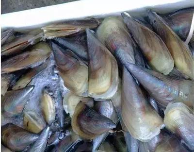 通報(bào)！惠州市食藥監(jiān)局抽檢75批次食品，這些被查出不合格！豆及薯類